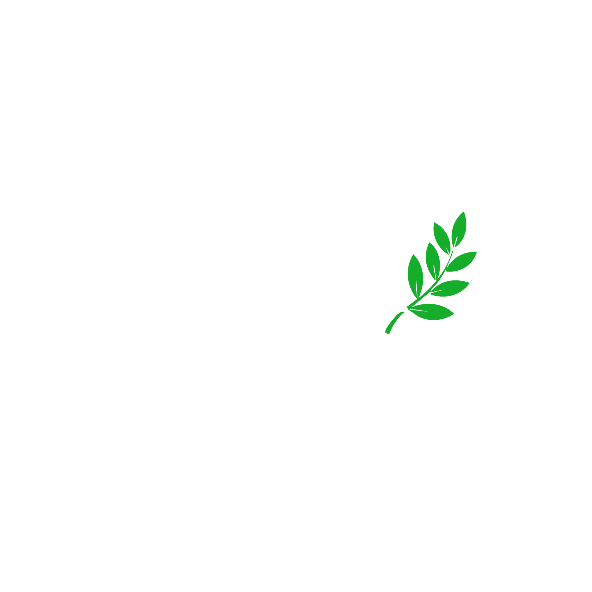 e-insula.ro